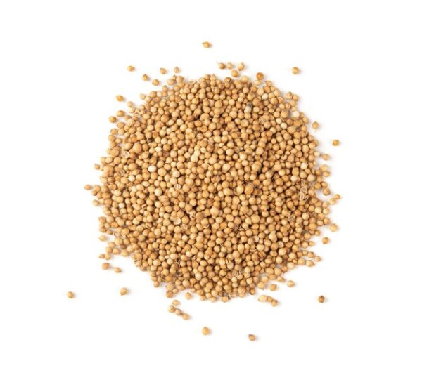 Quinoa Blanc كينوا بيضاء