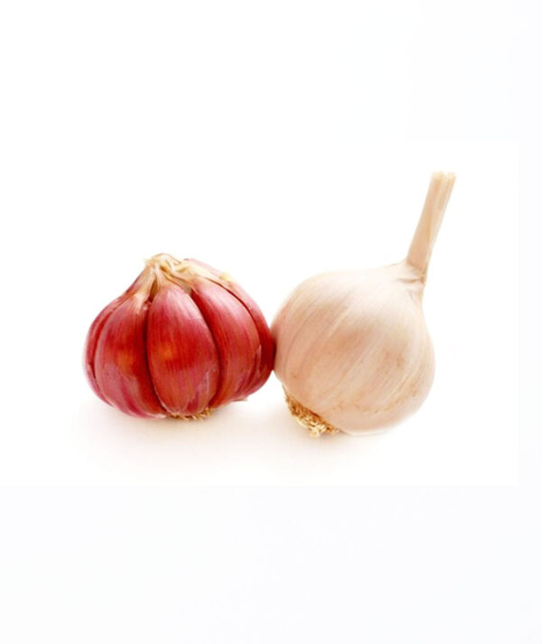 Ail ثوم