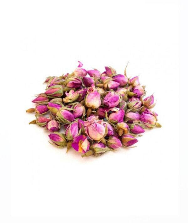 Bouton de Rose الورد