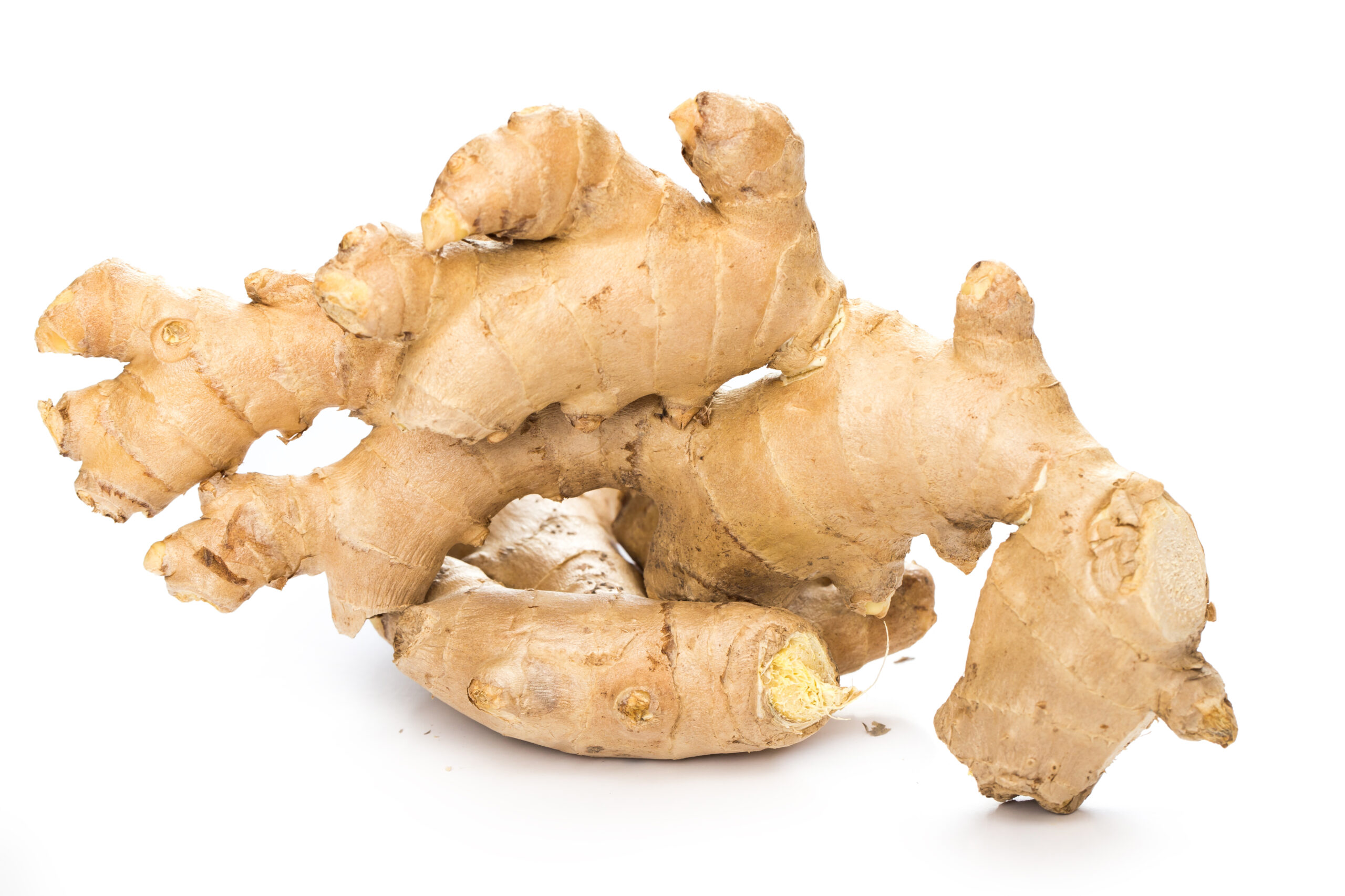 Vegetable. ginger on a white background