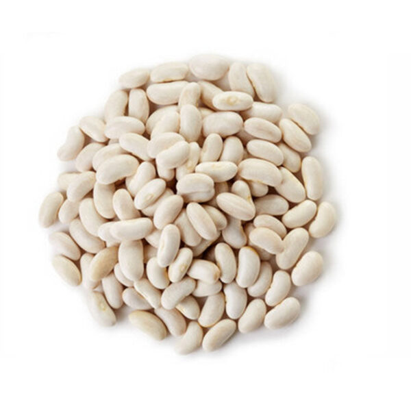 Haricot Blanc لوبيا بيضة