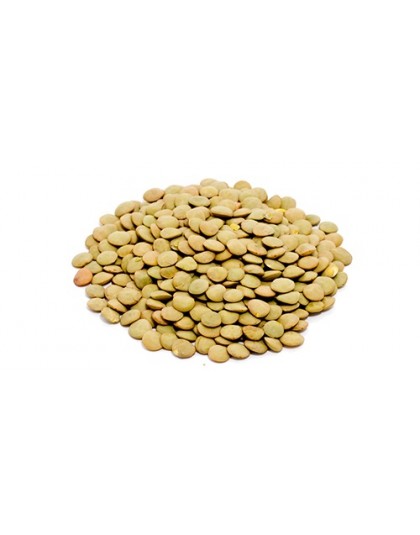 lentille-10315.jpg