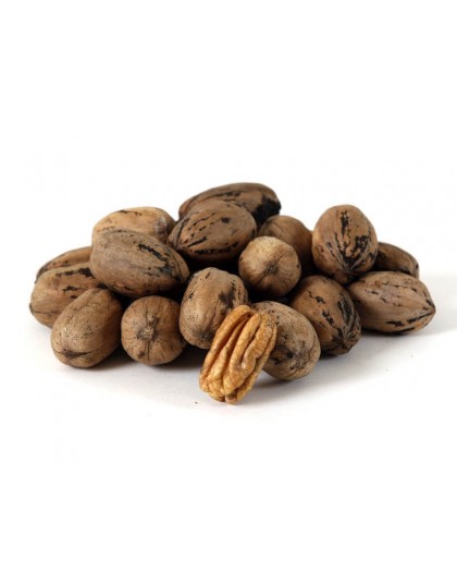 noix-de-pecan-10139