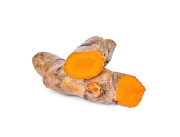 Racine de curcuma frais خرقوم خضر